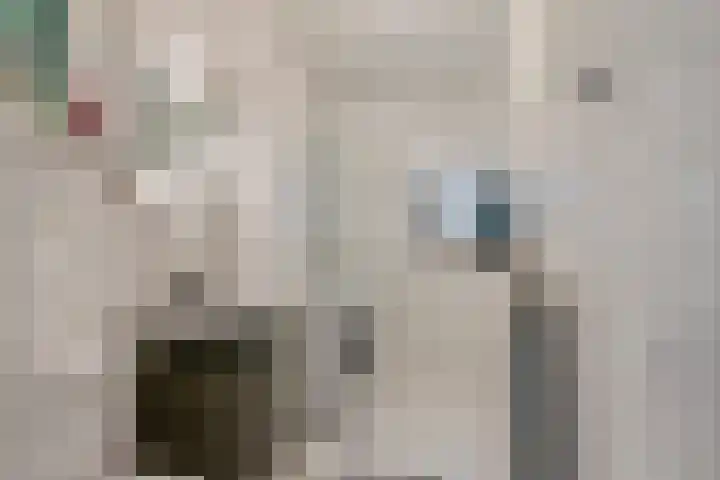 Damstraat 44 Tiel thumbnail 16