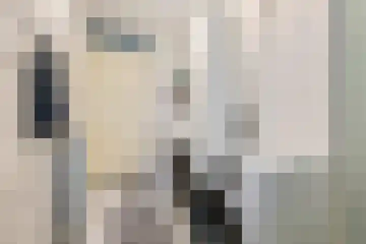 Damstraat 44 Tiel thumbnail 17