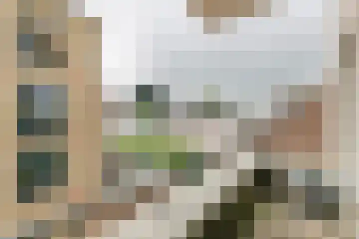 Damstraat 44 Tiel thumbnail 18