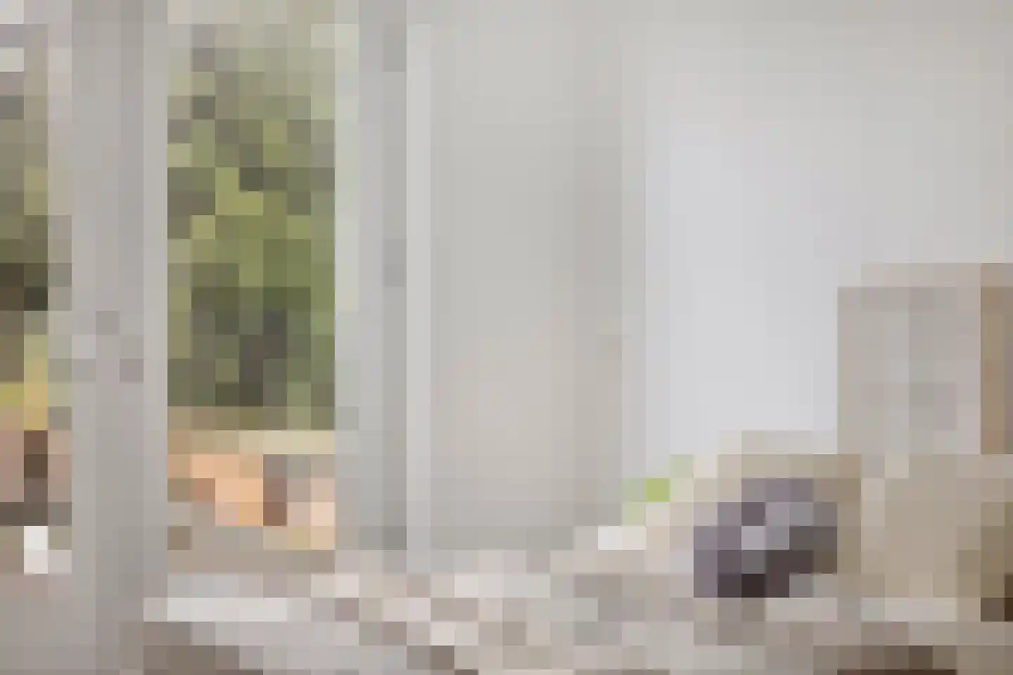 Damstraat 46 e Roosendaal thumbnail 20