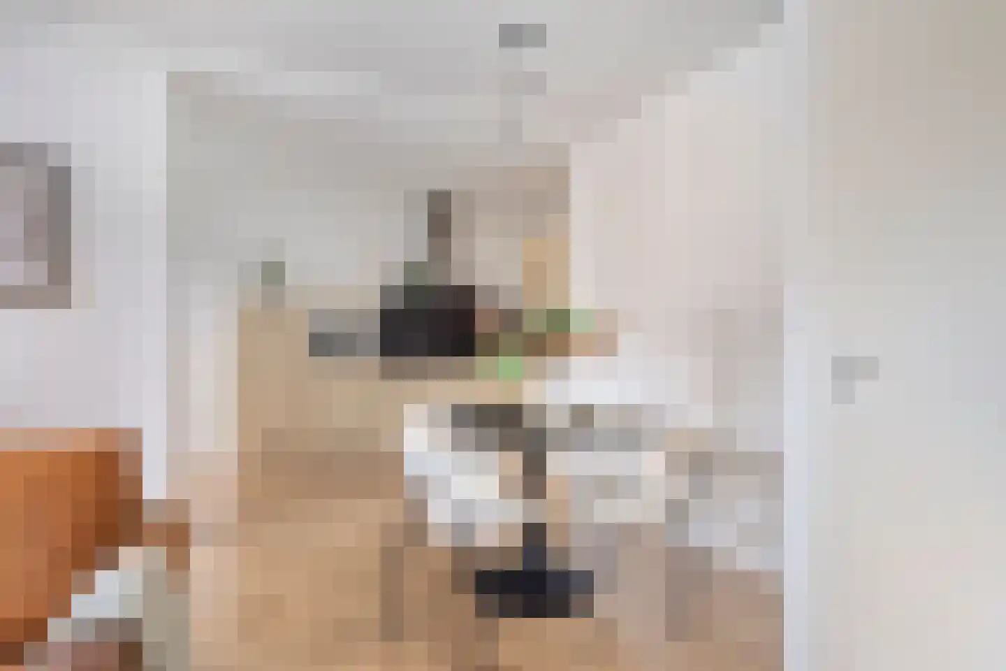 Damstraat 46 e Roosendaal thumbnail 8