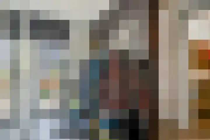 Damstraat 46 Tiel thumbnail 17
