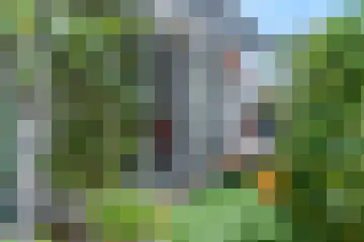 Damstraat 46 Tiel thumbnail 23