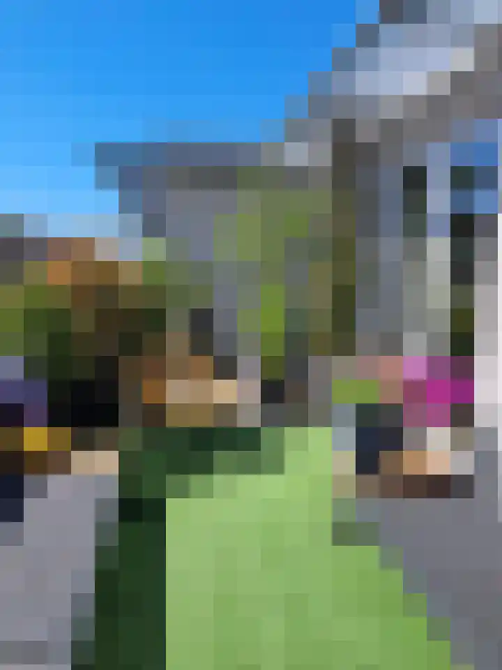 Damstraat 46 Tiel thumbnail 24