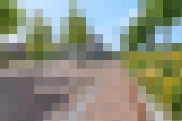 Damstraat 46 Tiel thumbnail 31