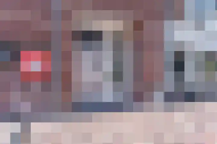 Damstraat 46 Tiel thumbnail 4