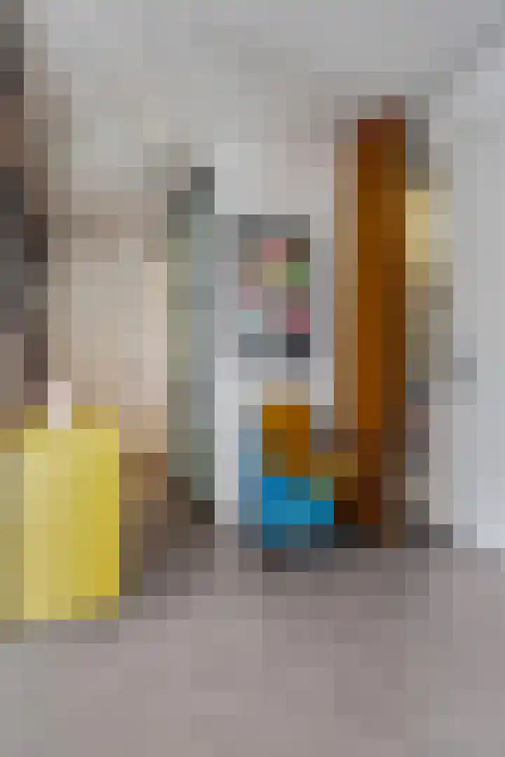 Damstraat 46 Tiel thumbnail 7
