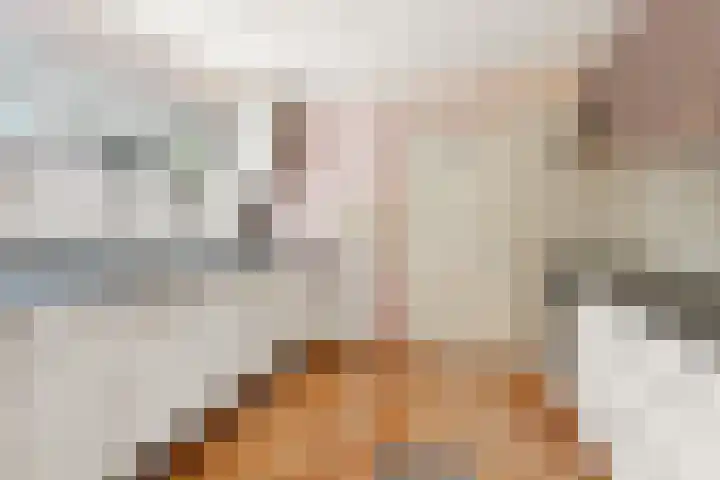 Damstraat 5 Lobith thumbnail 18