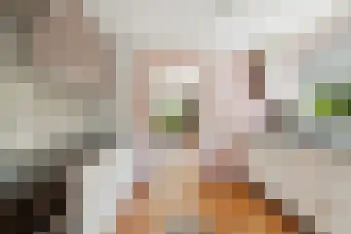 Damstraat 5 Lobith thumbnail 19