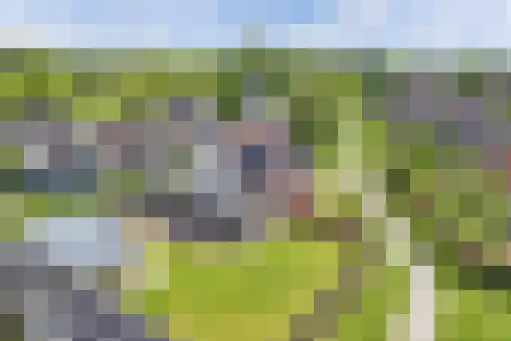 Damstraat 5 Lobith thumbnail 21