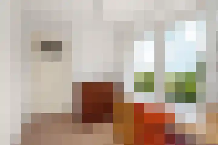 Damstraat 5 Lobith thumbnail 31