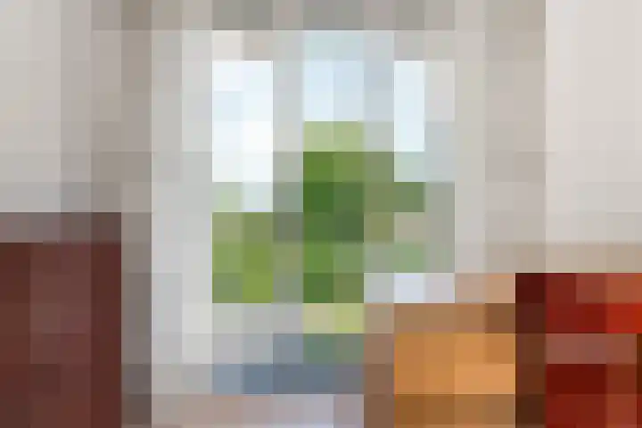 Damstraat 5 Lobith thumbnail 32