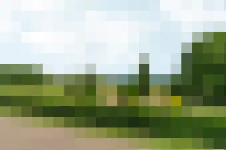 Damstraat 5 Lobith thumbnail 34