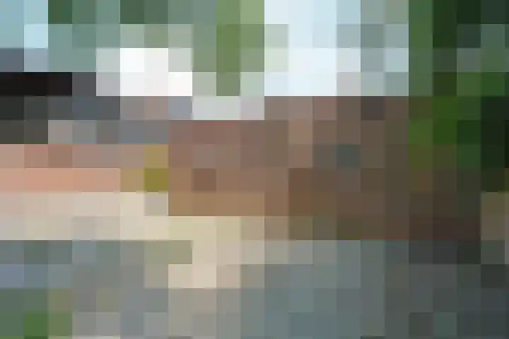 Damstraat 5 Lobith thumbnail 41