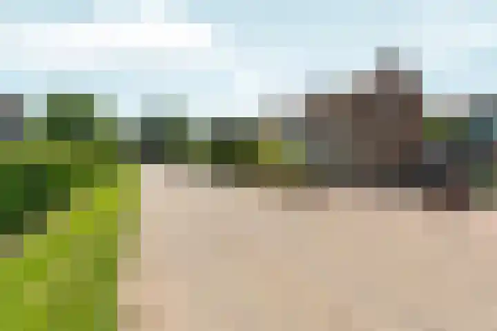 Damstraat 5 Lobith thumbnail 49
