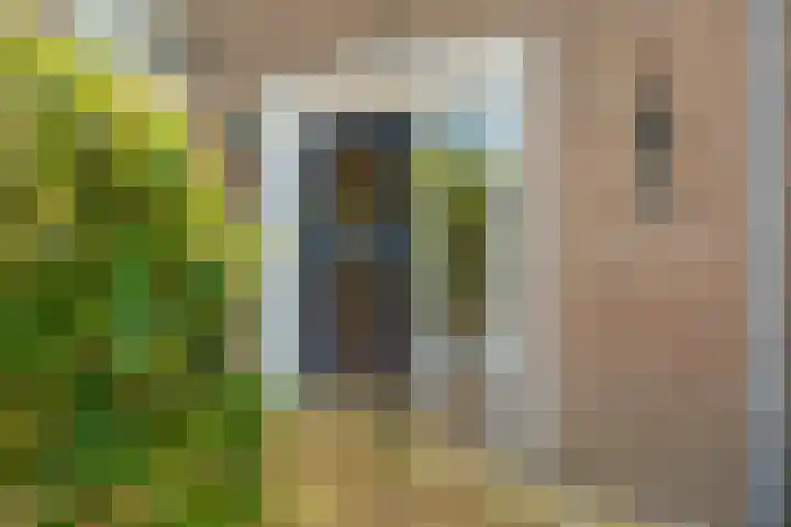Damstraat 5 Lobith thumbnail 50