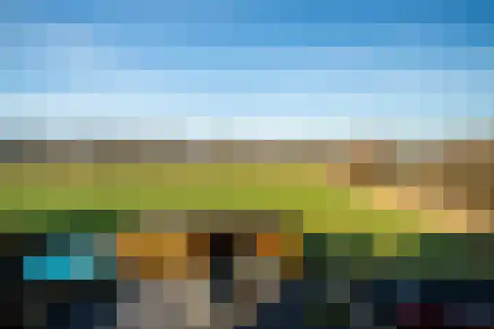 Damstraat 5 Lobith thumbnail 52