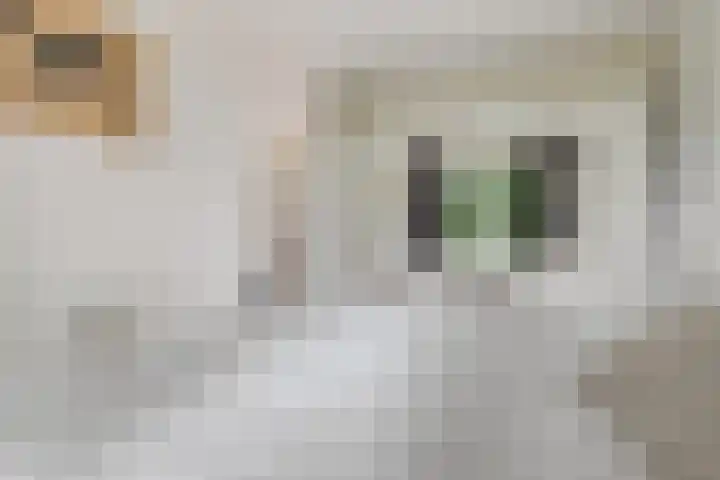 Damstraat 5 Lobith thumbnail 8