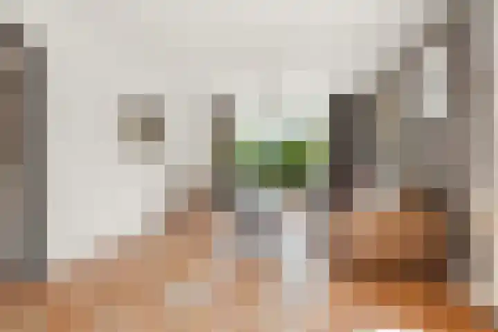 Damstraat 5 Lobith thumbnail 9