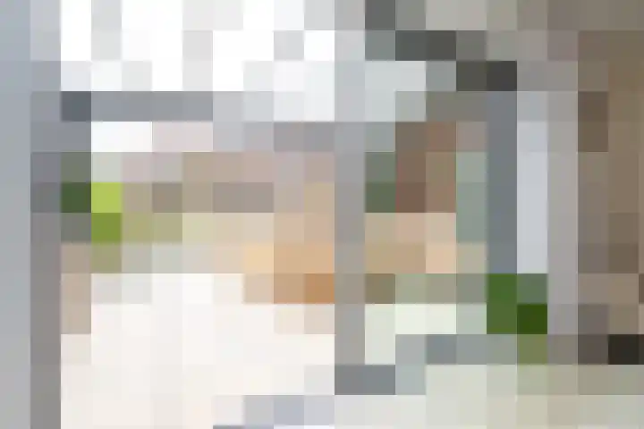 Damstraat 5 Zwolle thumbnail 10