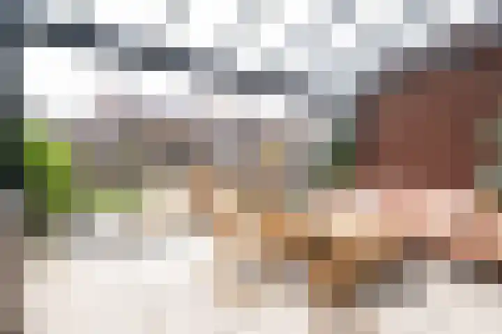 Damstraat 5 Zwolle thumbnail 11