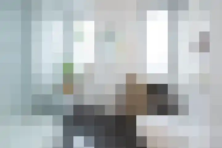 Damstraat 5 Zwolle thumbnail 20