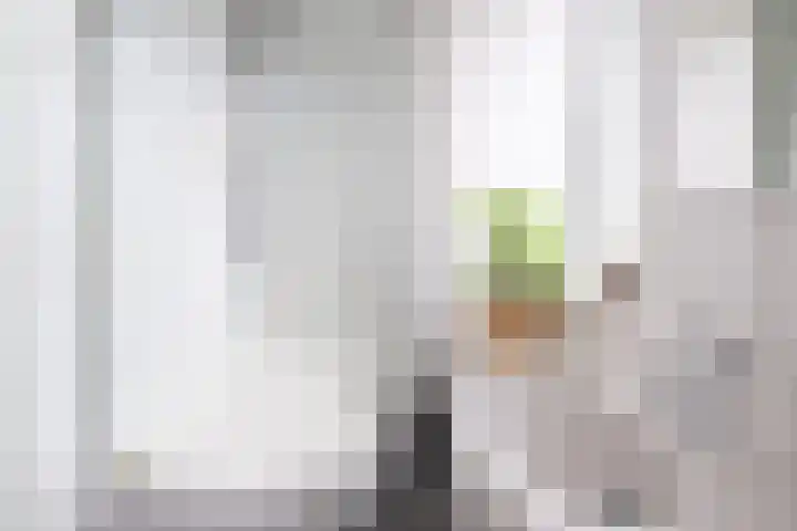 Damstraat 5 Zwolle thumbnail 22