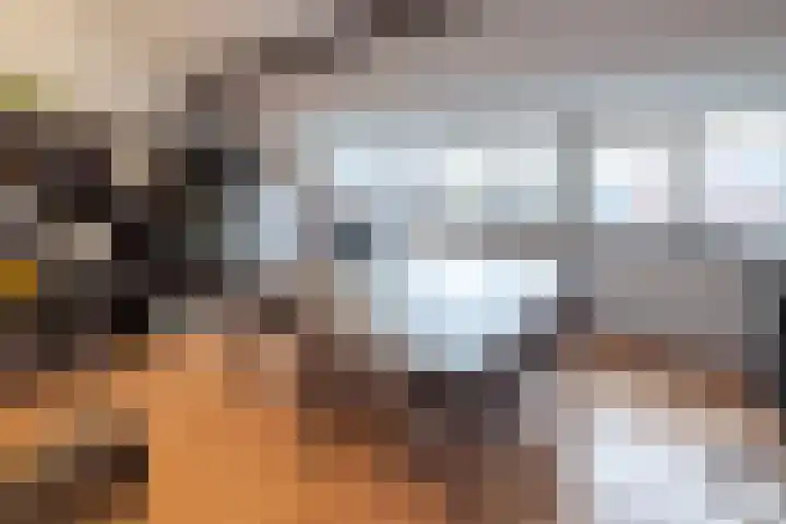 Damstraat 5 Zwolle thumbnail 24