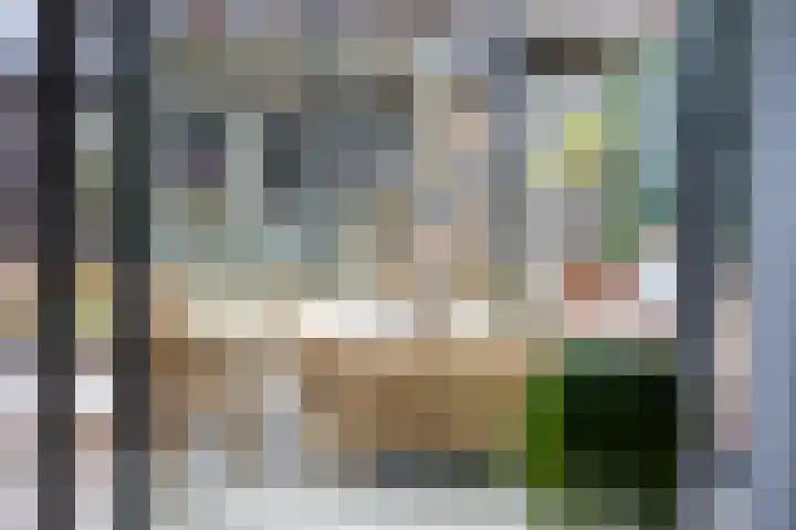Damstraat 5 Zwolle thumbnail 30