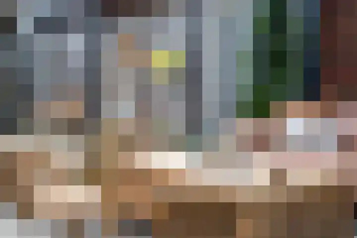 Damstraat 5 Zwolle thumbnail 31