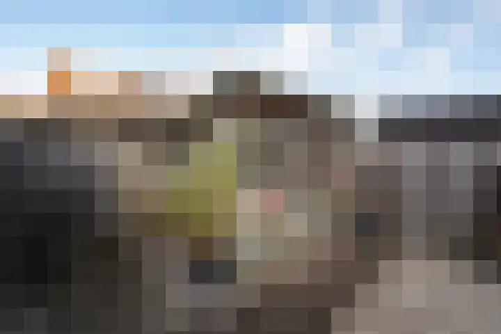 Damstraat 5 Zwolle thumbnail 34