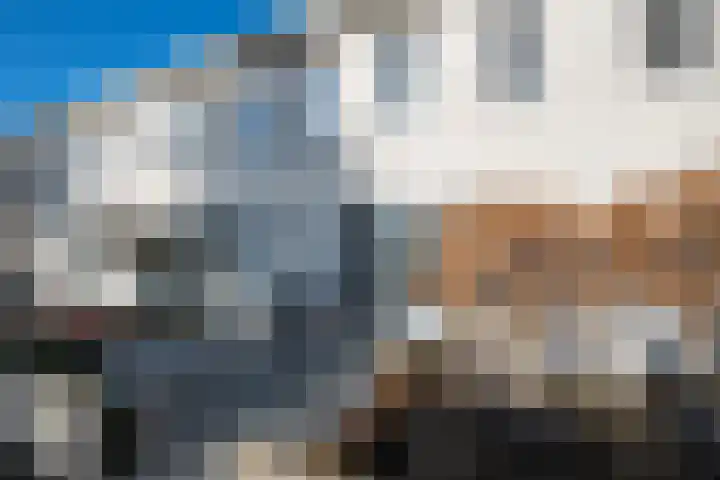 Damstraat 5 Zwolle thumbnail 35