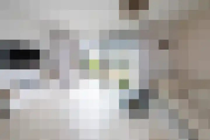 Damstraat 5 Zwolle thumbnail 9