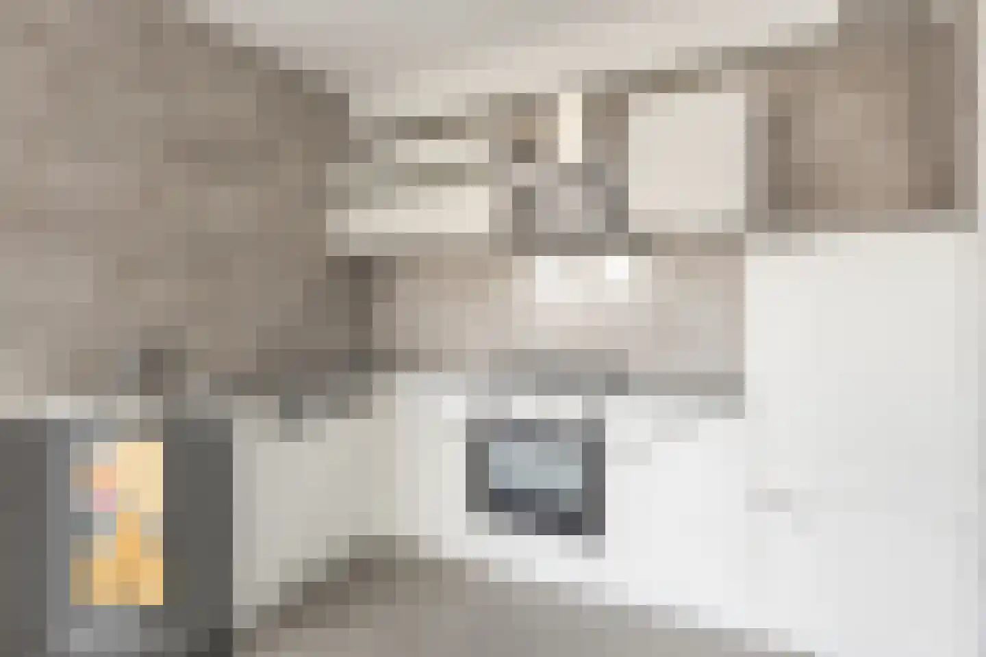 Damstraat 58 Spijkenisse thumbnail 19