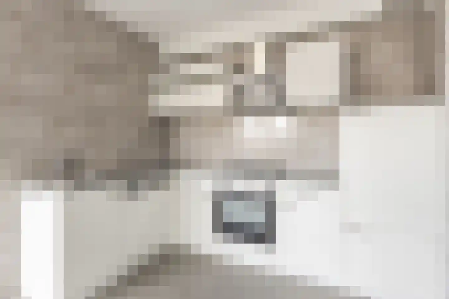 Damstraat 58 Spijkenisse thumbnail 4