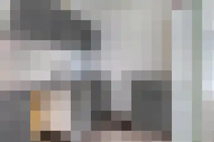 Damstraat 6 Spijkenisse thumbnail 12