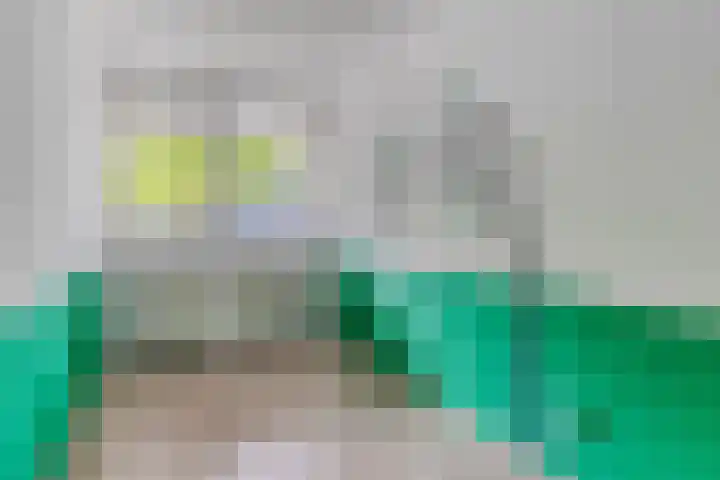 Damstraat 6 Spijkenisse thumbnail 14