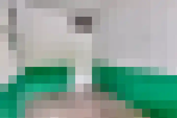 Damstraat 6 Spijkenisse thumbnail 15