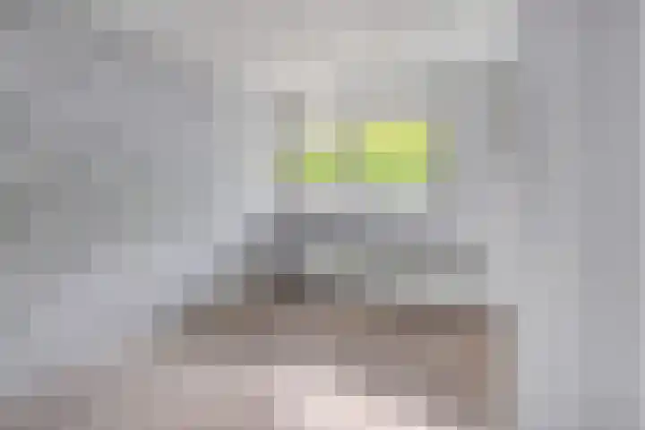 Damstraat 6 Spijkenisse thumbnail 16
