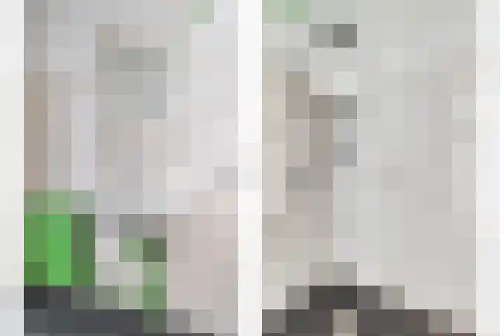 Damstraat 6 Spijkenisse thumbnail 20