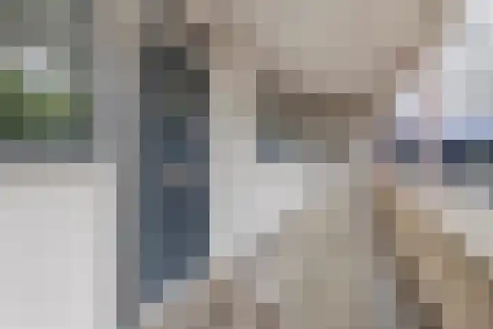 Damstraat 6 Spijkenisse thumbnail 23