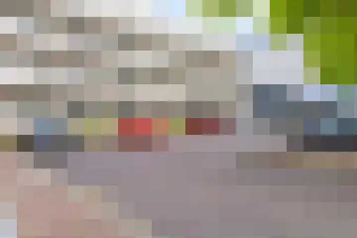 Damstraat 6 Spijkenisse thumbnail 25