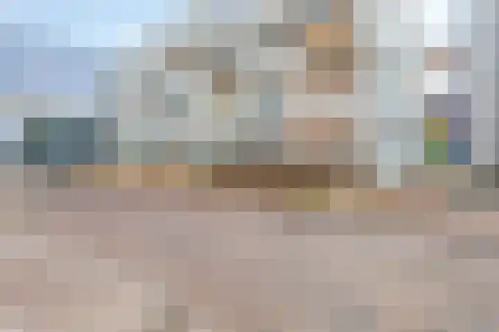 Damstraat 6 Spijkenisse thumbnail 29