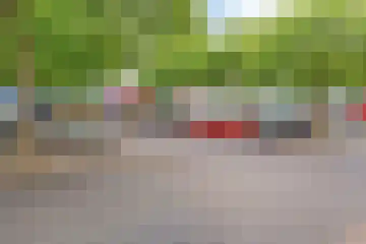 Damstraat 6 Spijkenisse thumbnail 30