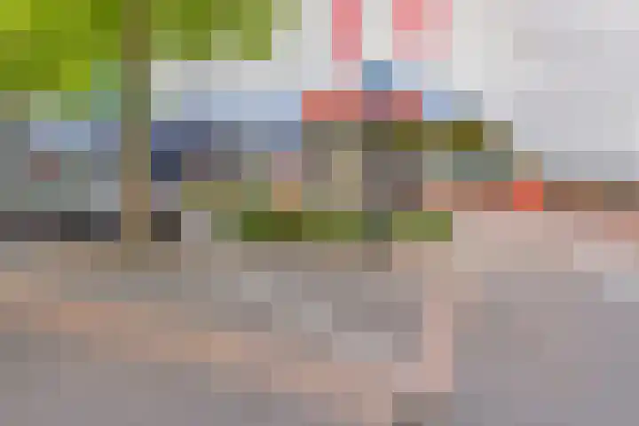 Damstraat 6 Spijkenisse thumbnail 31