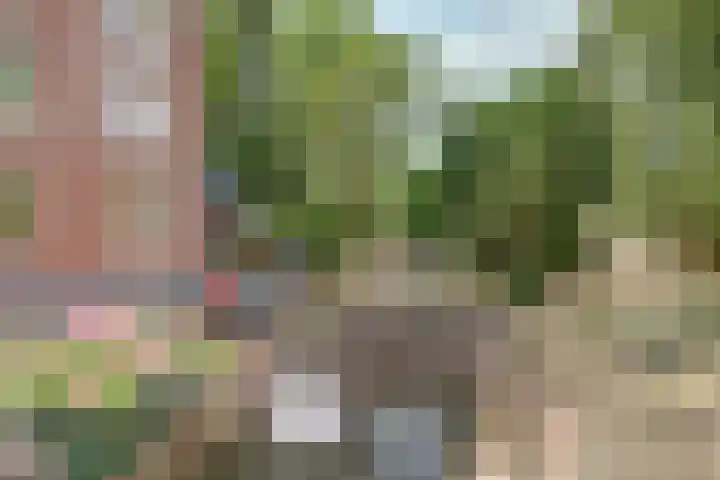 Damstraat 62 A Hardinxveld-Giessendam thumbnail 4