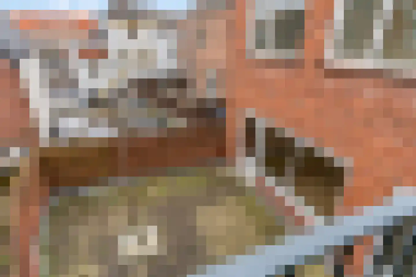 Damstraat 7 a Tiel thumbnail 22