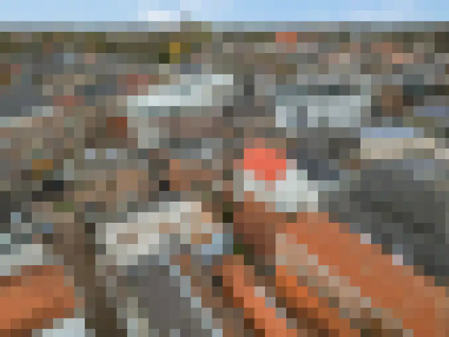 Damstraat 7 a Tiel thumbnail 41