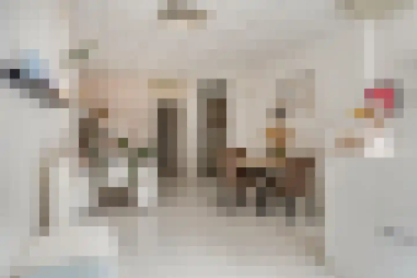 Damstraat 7 a Tiel thumbnail 45