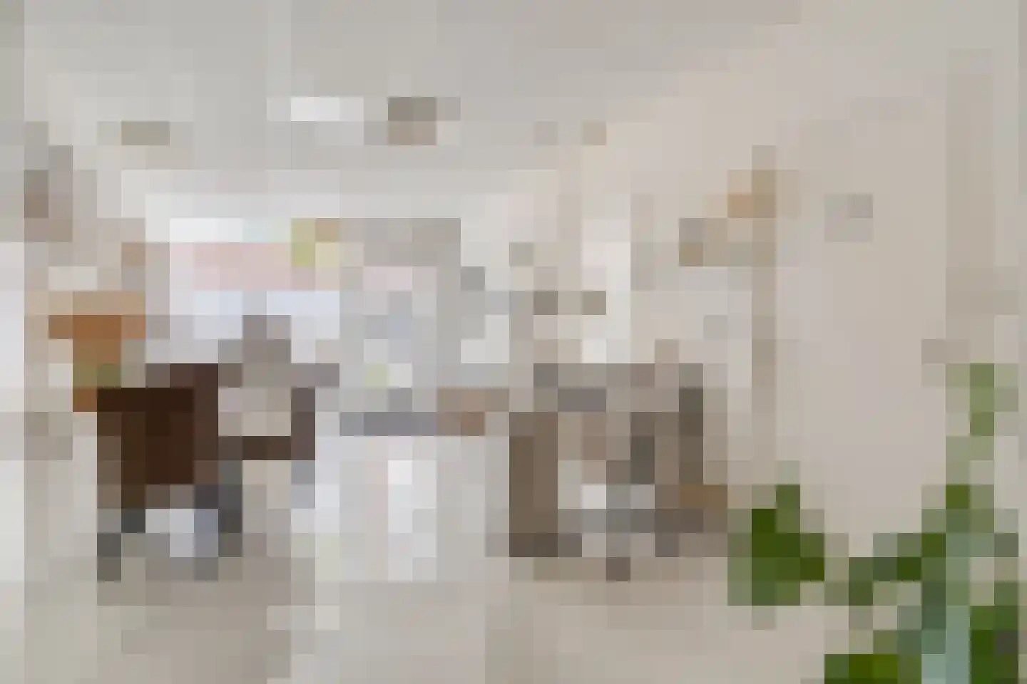 Damstraat 7 a Tiel thumbnail 48